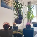 Wavetower Apartment Goldstrand